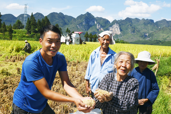 乡村振兴贵州系列报道之三十八