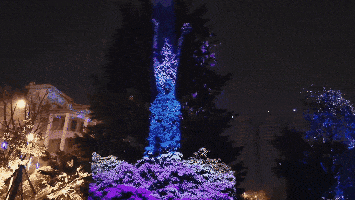 绽放出绚烂,2台nec英雄px2000ul 分别竖投于两棵12米*19米的树木之上