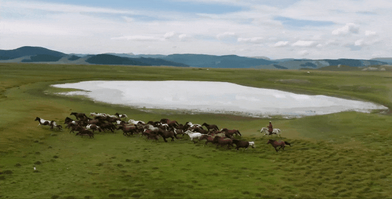 草原到幽暗狂野的针叶林带骑手舒克特千里寻踪达尔哈特人的白色公马