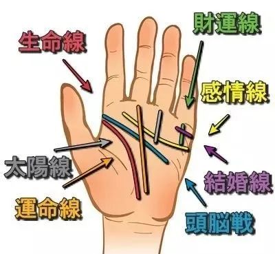 手中的三条线，被称为智慧，感情，生命线，分别代表着什么呢？