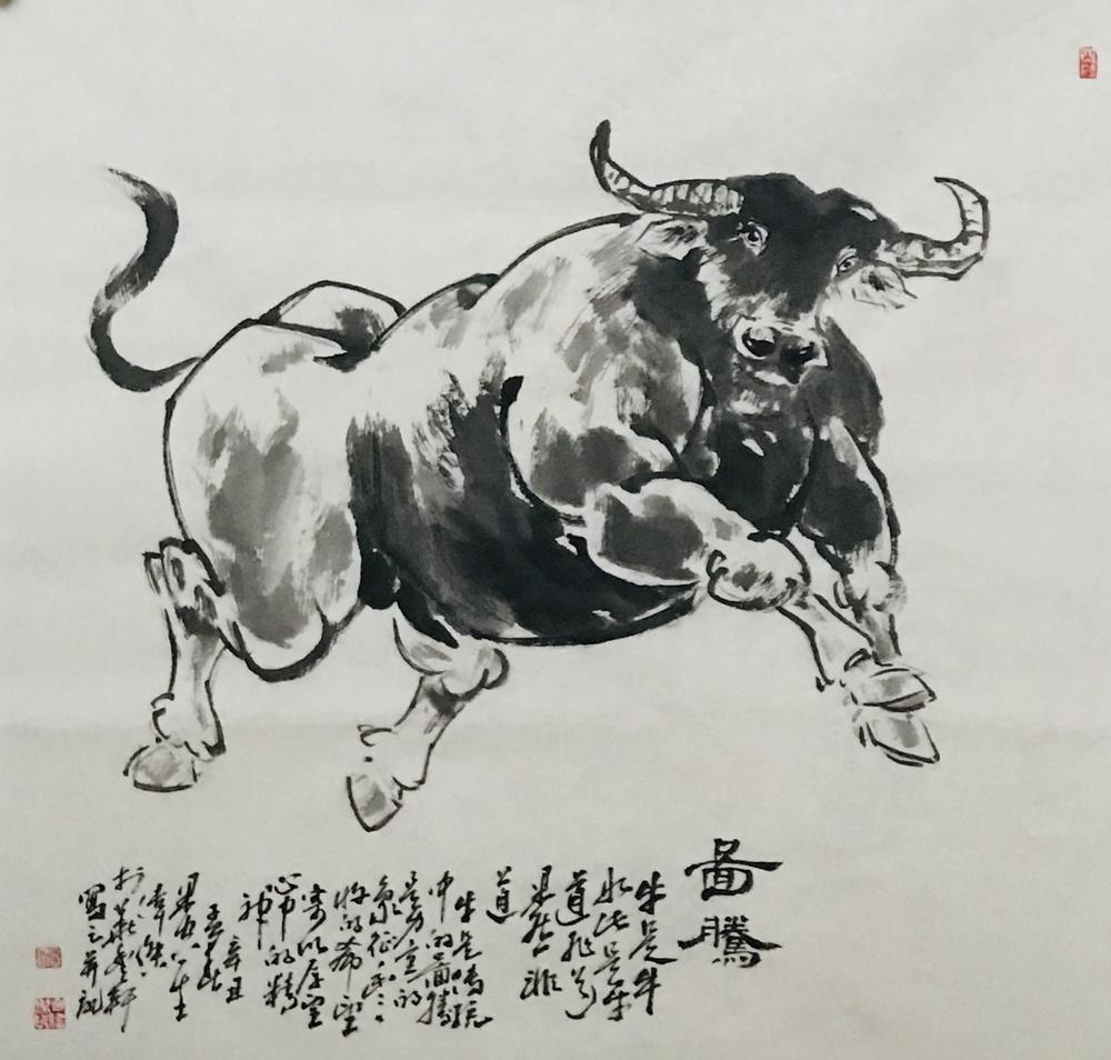 牛转乾坤丨浙江永康——吕伟杰牛年画牛