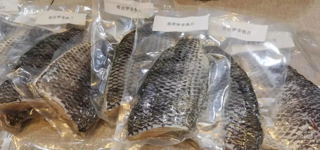 海南罗非鱼改名 海南鲷 出口转内销 能否游出一片天 凤凰网 海南罗非鱼改名 海南鲷 出口转内销 能否游出一片天 凤凰网
