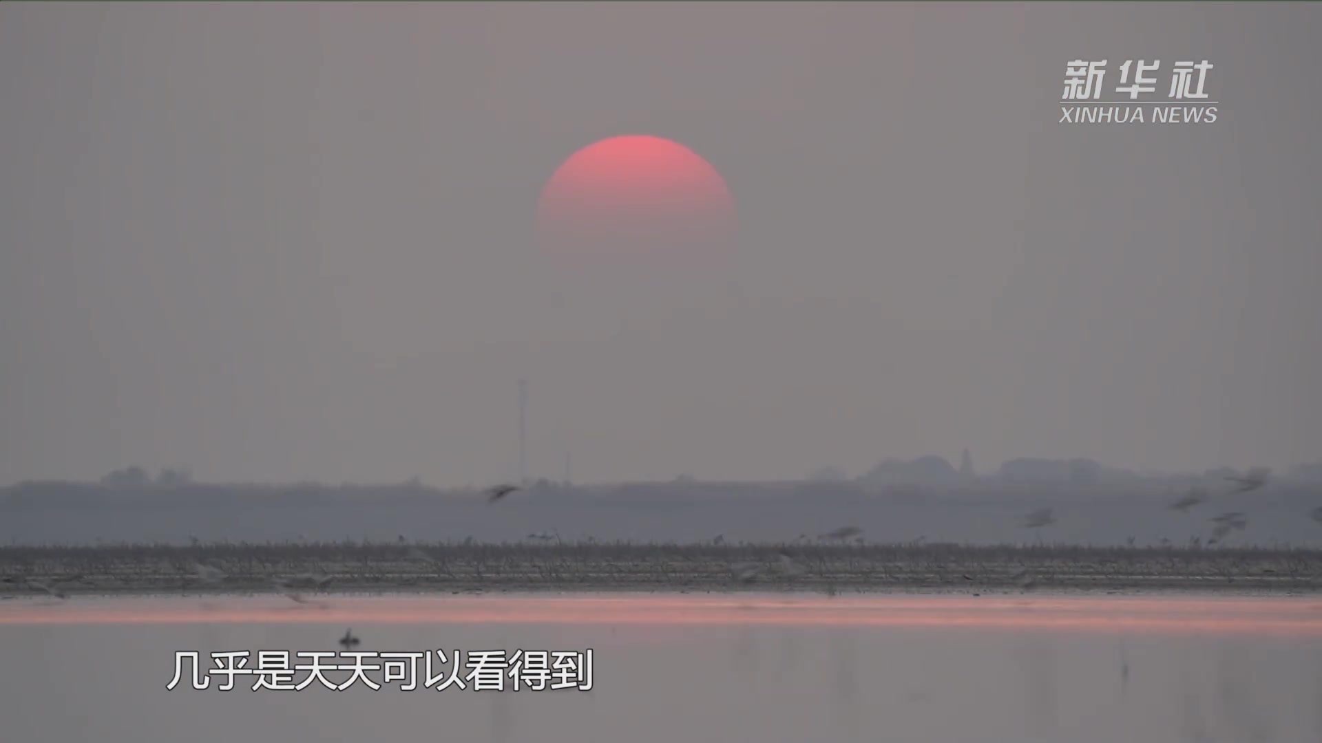 新春走基层｜从渔民到巡护员 全面禁捕下的鄱湖生态之变