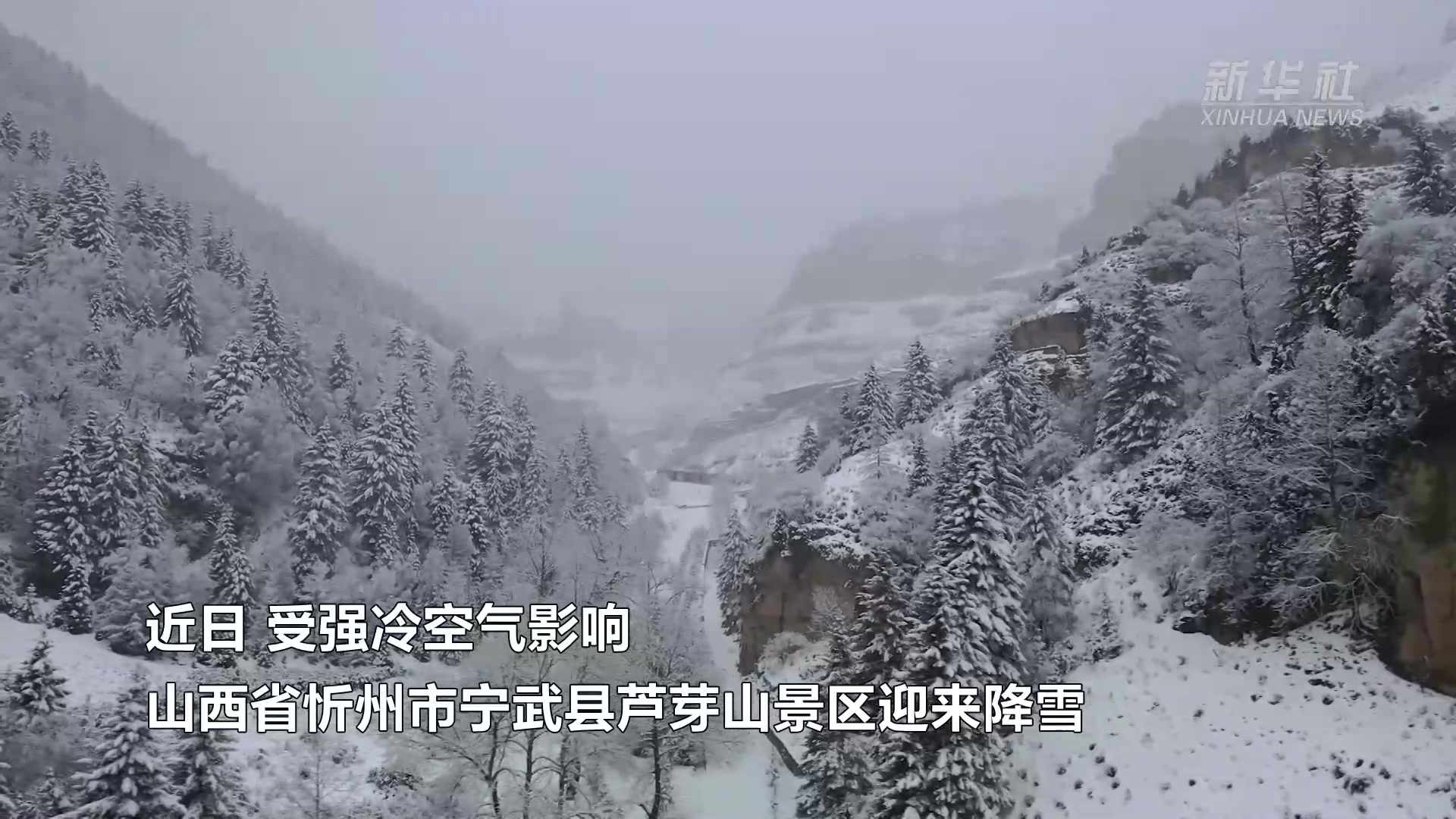 雪覆山川 山西芦芽山着银装
