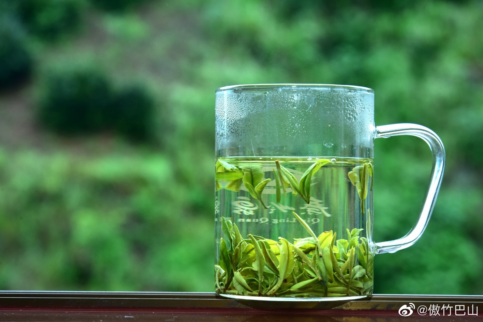 秦岭泉茗茶园地处凌霄峰顶,群岭峻拔之地,在山丘壮阔,余韵幽深的环抱