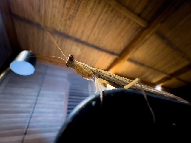 摄影师Austin Mann分享iPhone 13 Pro样片