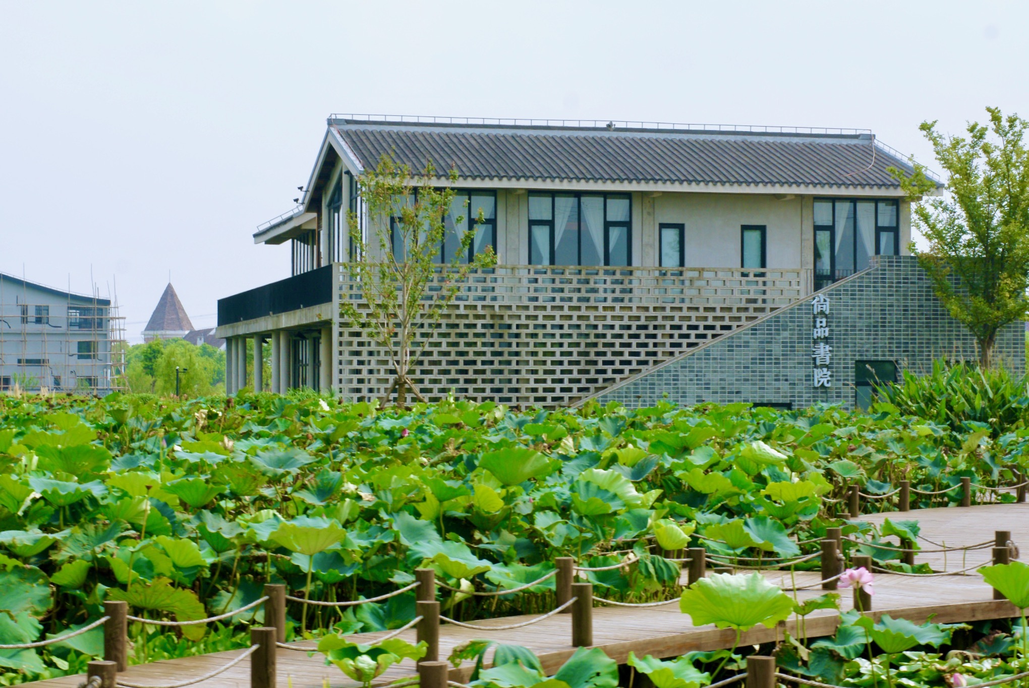 藕遇公园和尚品书院