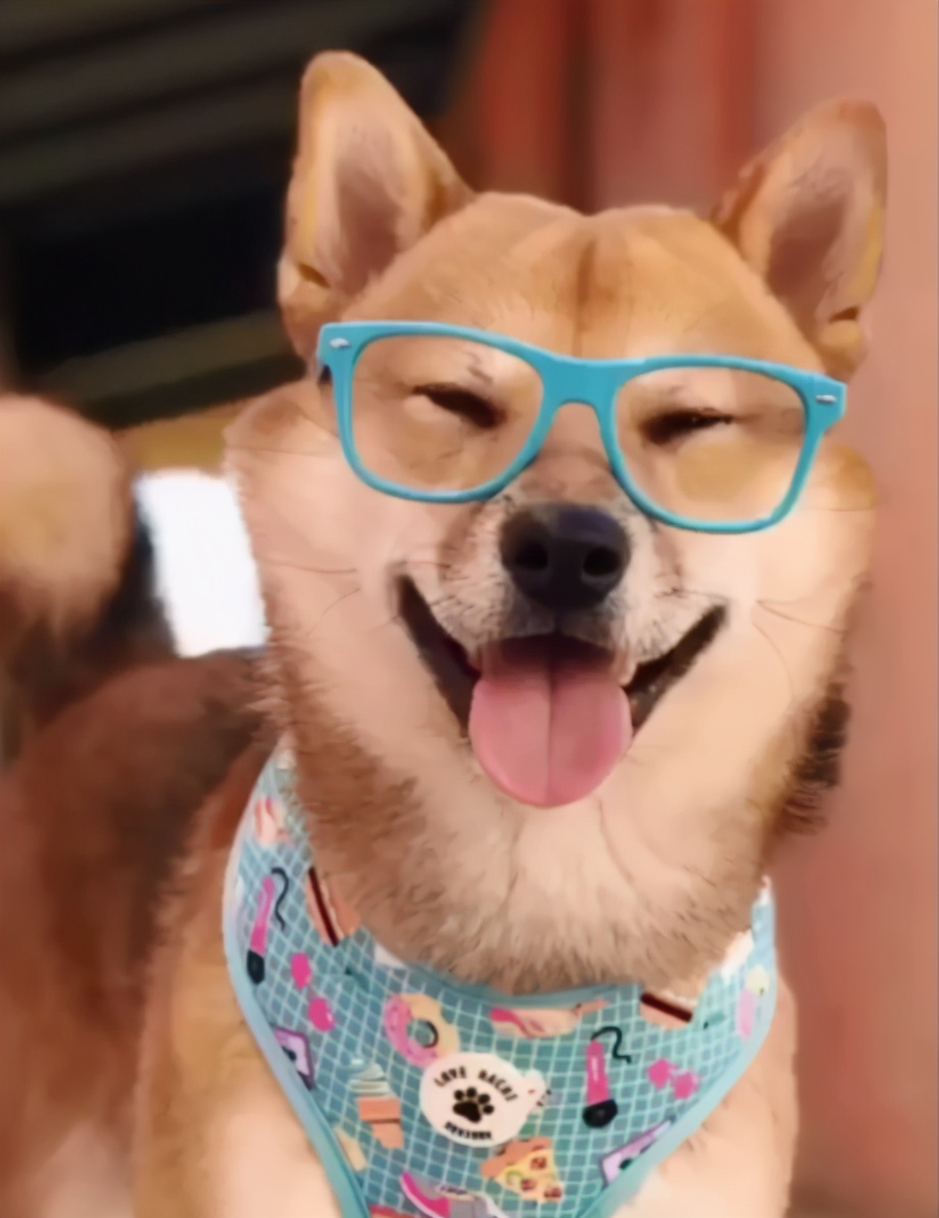 田园狗狗快乐迷人头比心,展示绝技小旋风,看后目瞪口呆!