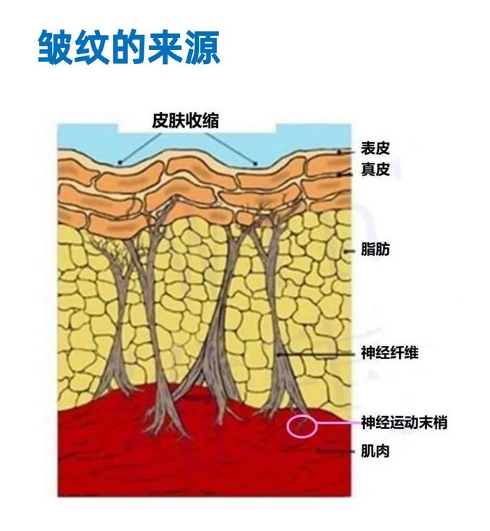 绽媄娅的产品怎么样硬核黑科技！从绽媄娅淡纹小金甁看中国科技护肤力量_https://www.jmylbn.com_新闻资讯_第3张