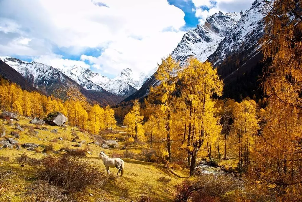 它的美景數不勝數,雪山,森林,飛瀑,湖泊,奇石.