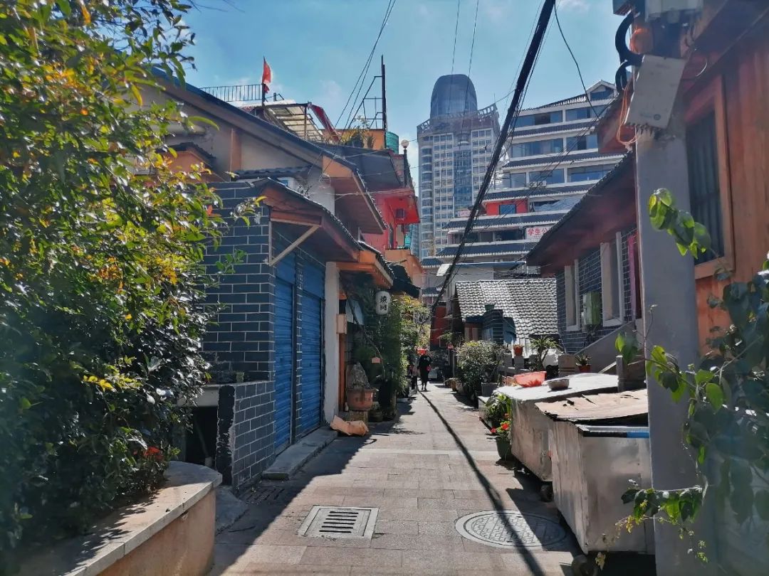 电台街是一条普通,带着岁月痕迹的街道,窄窄的街道两侧住着普通平凡的