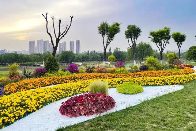 第六站:汽车主题公园