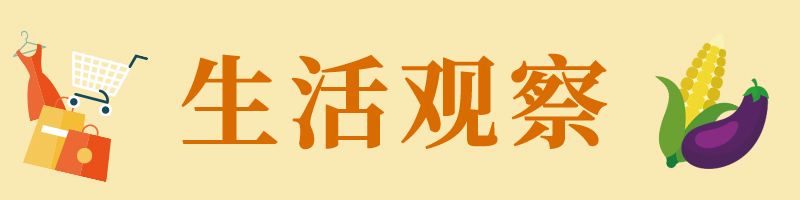 生活观察|宠物经济火热，宠物“身后事”谁来管？1