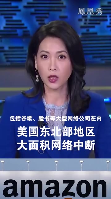 美国东北部地区大面积网络中断