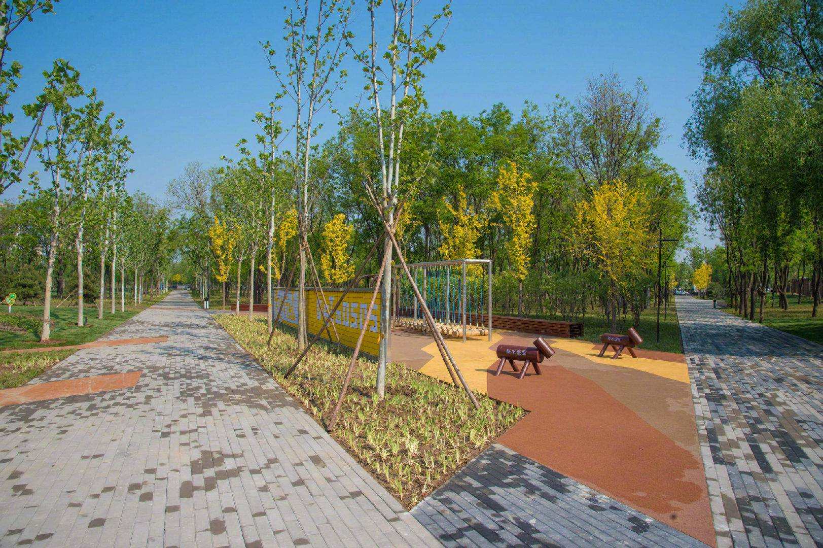 在上海浦江郊野公园，藏着一片湿地间的静谧秋色|浦江|郊野公园|公园_新浪新闻