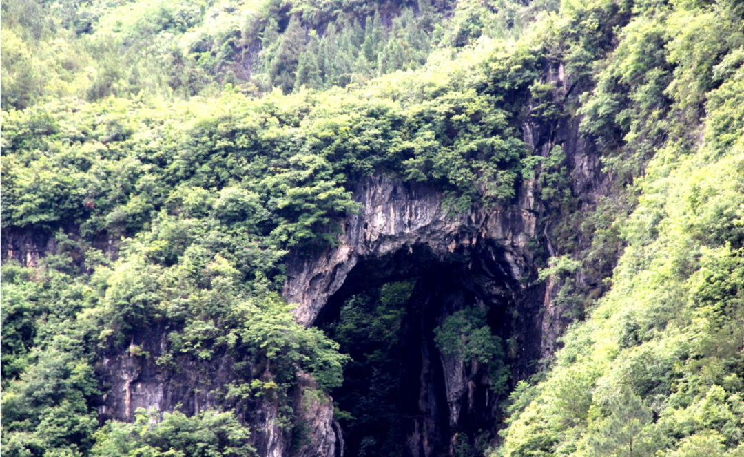 论:龙"真"穴"的"讲的是什么