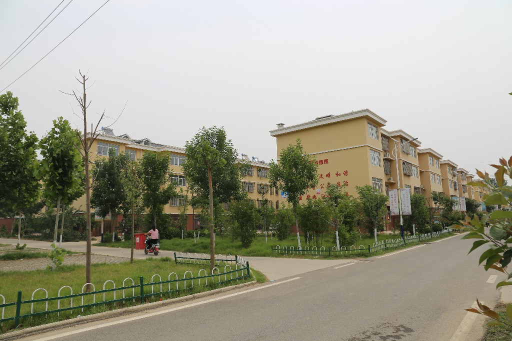 定陶区马集镇梁堂社区:现代农业助力乡村蝶变__凤凰网