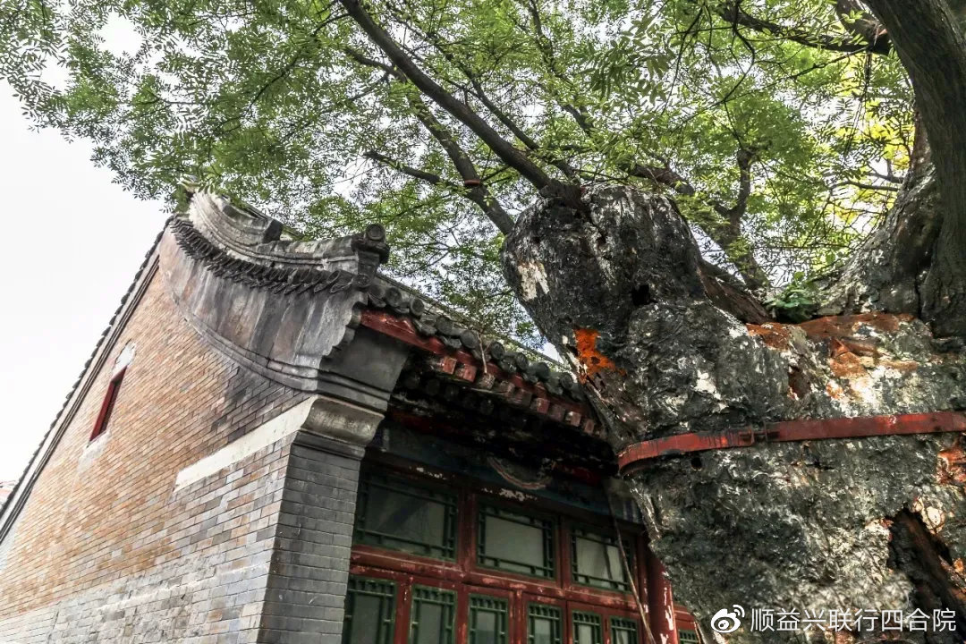 寻找外八刹遗存之南观音寺