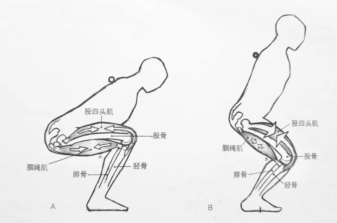 伸髋示意图图片