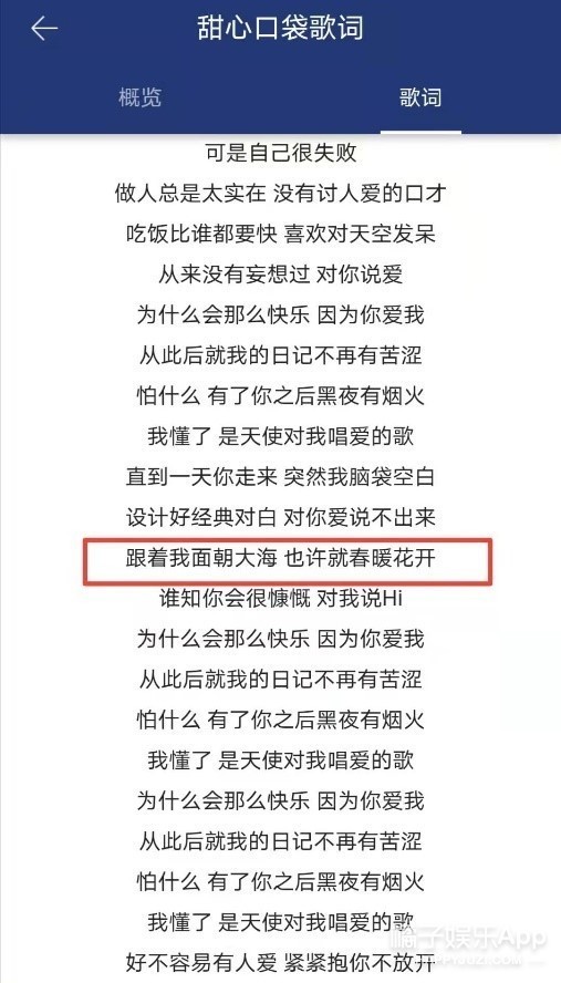 又一追星天花板诞生了 凤凰网