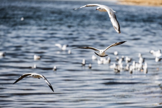 尼康微单Z7 II为何被称为风光摄影利器