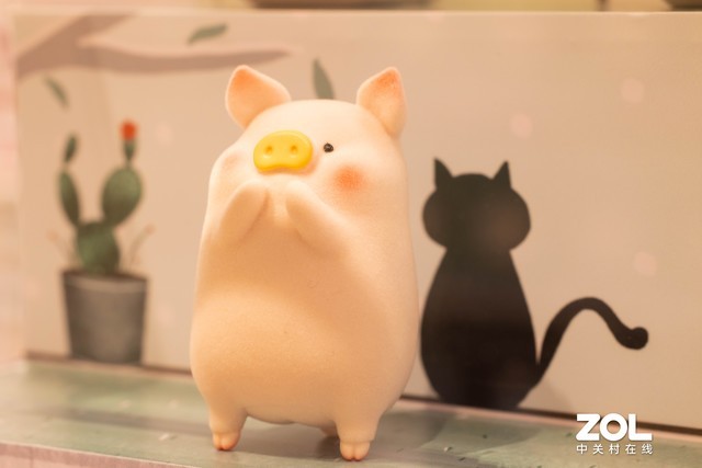 RF系列新利器 佳能RF 100mm微距评测