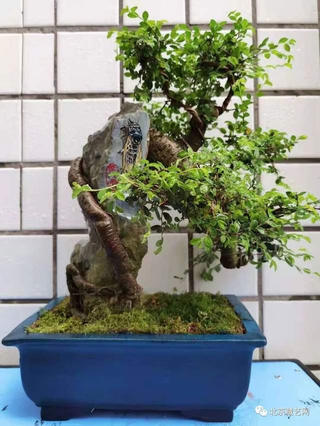 【收藏快报】2021年重点推荐艺术家——陈义云