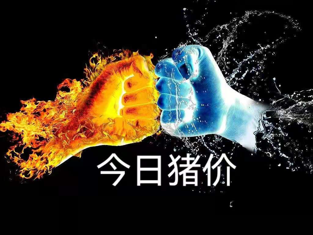 东北率先开涨,猪价何时再迎小高峰?