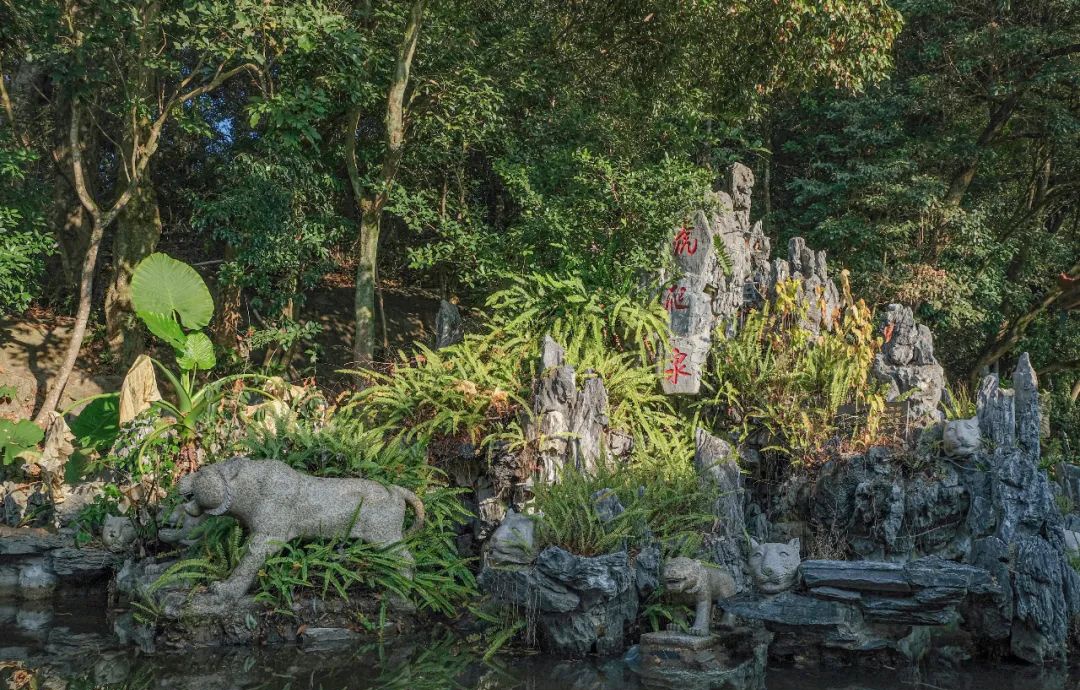 摄影/小曾 在漳州平和三平寺后的虎林,有一"虎爬泉",据说是当年林中