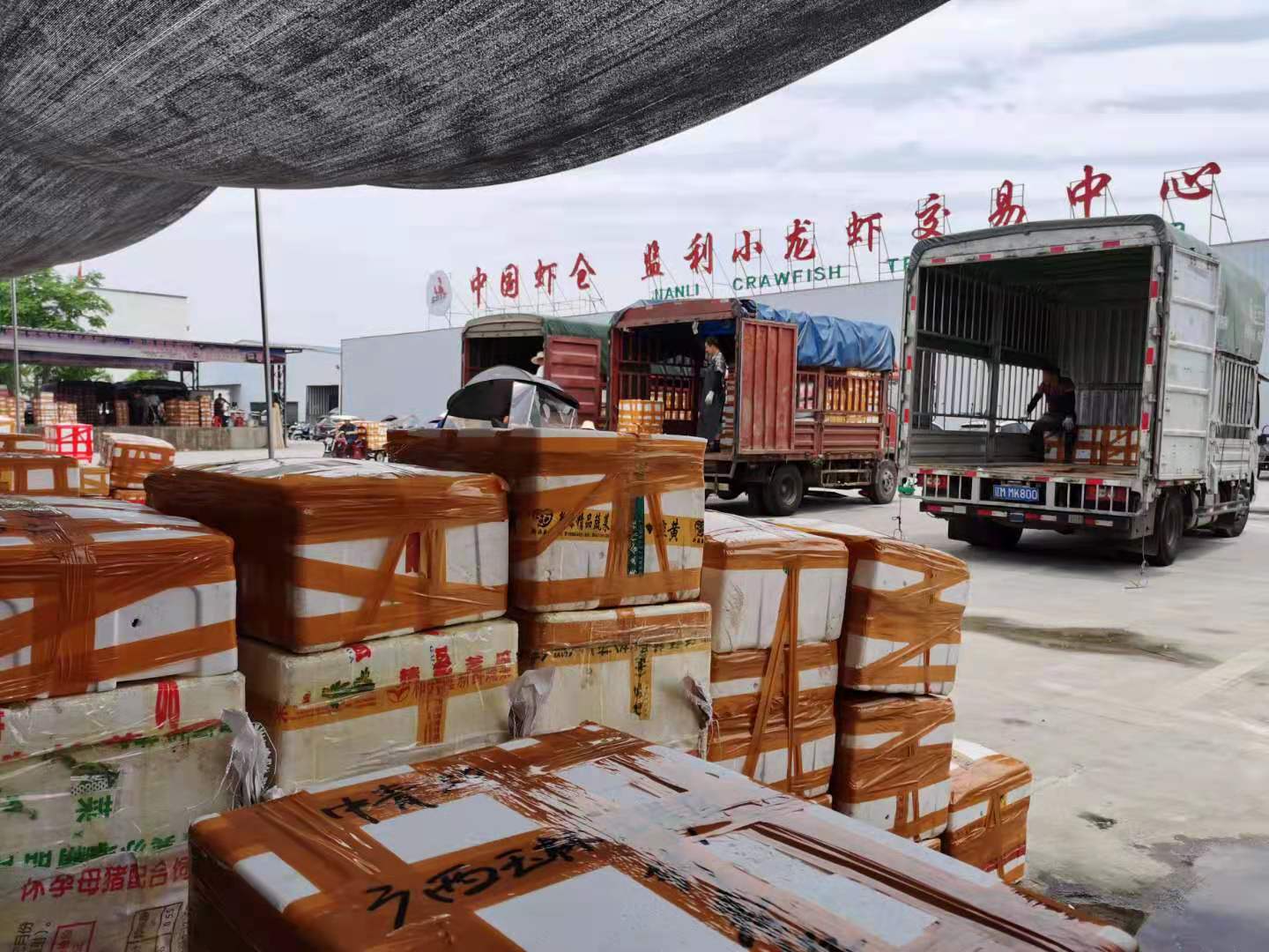 湖北监利 | 完善产业链,做好小龙虾"大文章"