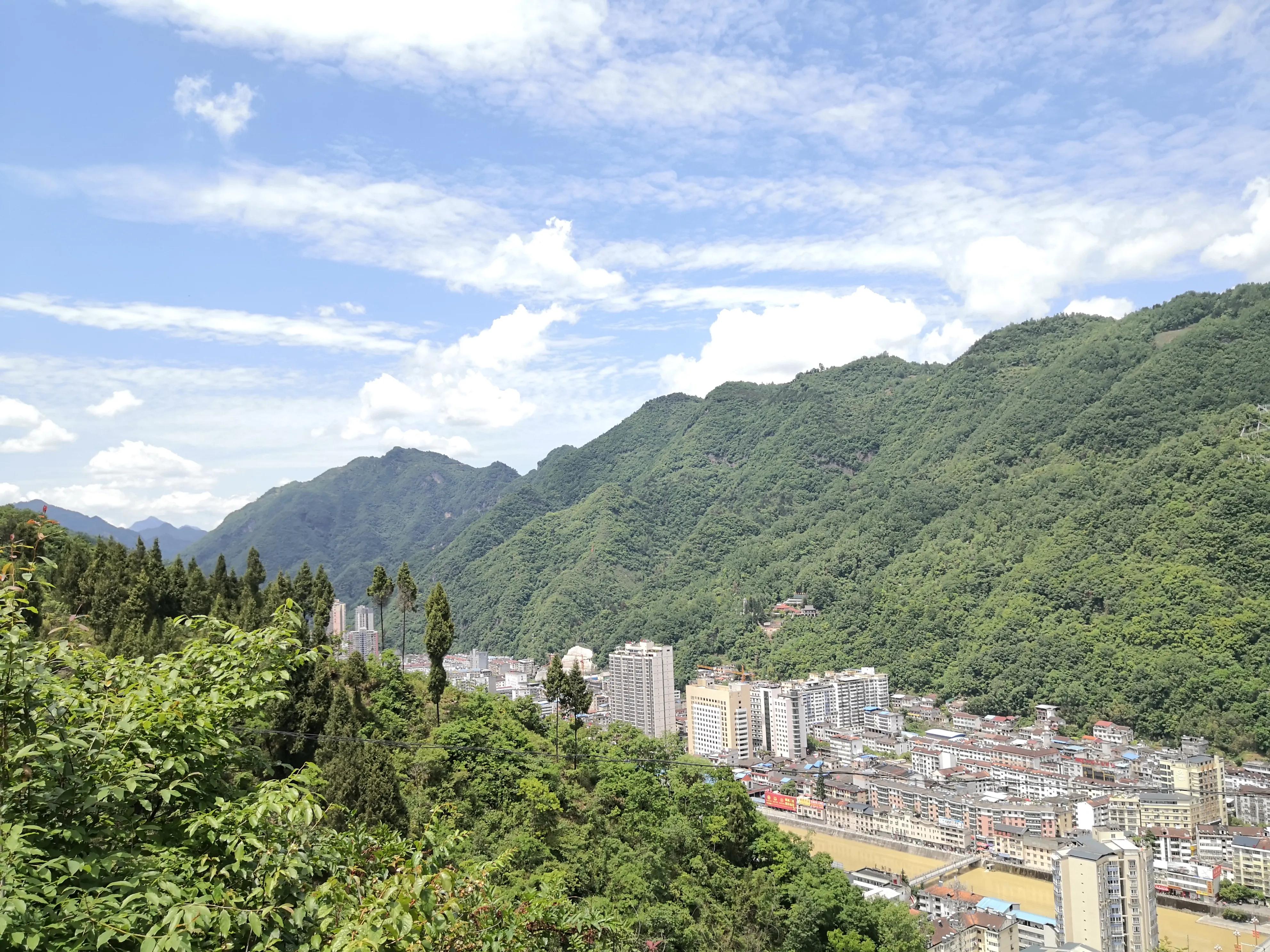 逃离城市喧嚣 来汉中镇巴草坝景区 看日出赏云海 探秘原始竹林__凤凰