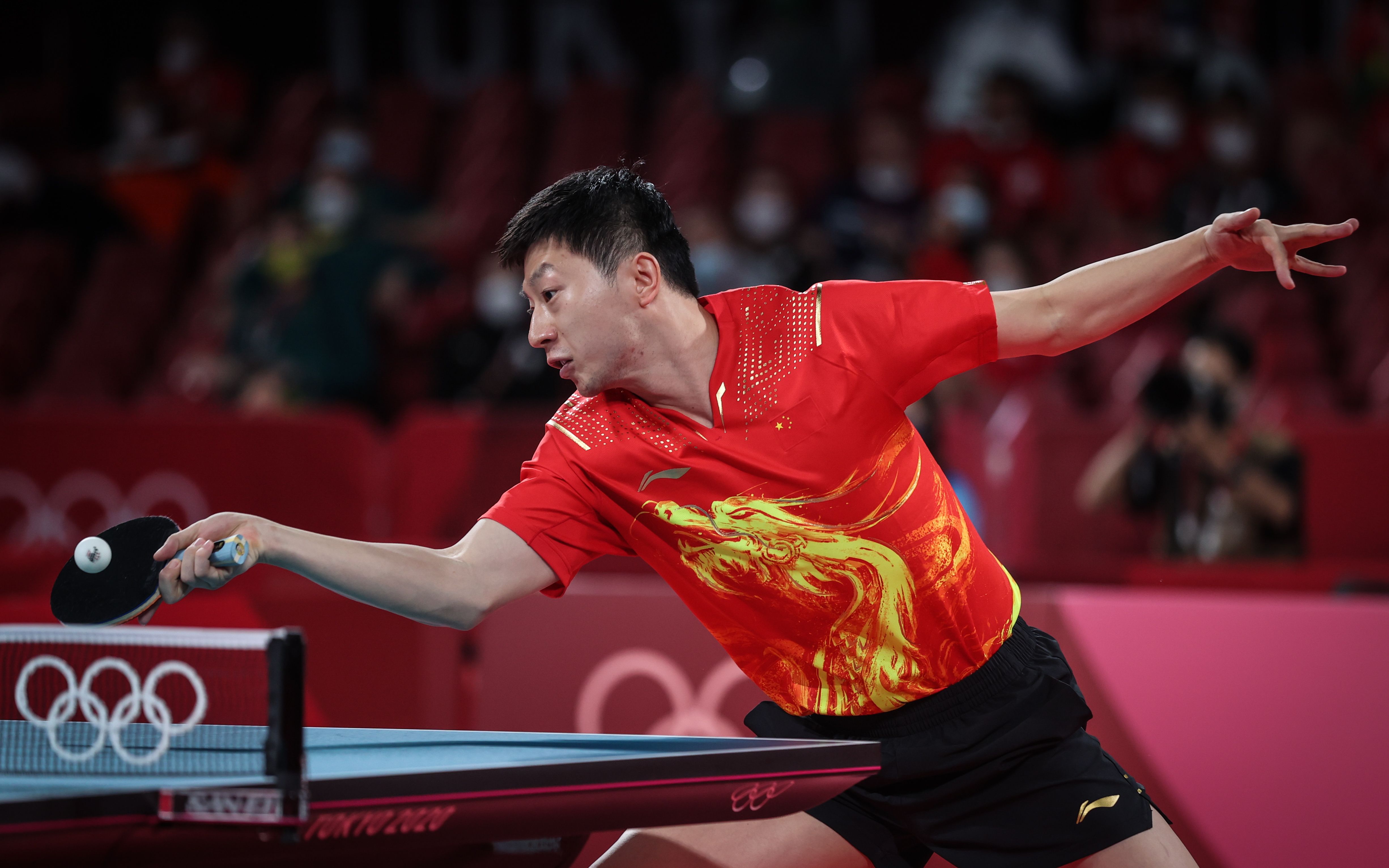 国乒男单也会师决赛了,樊振东,马龙明晚争冠__凤凰网