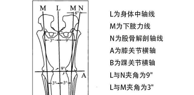 下肢力线示意图图片