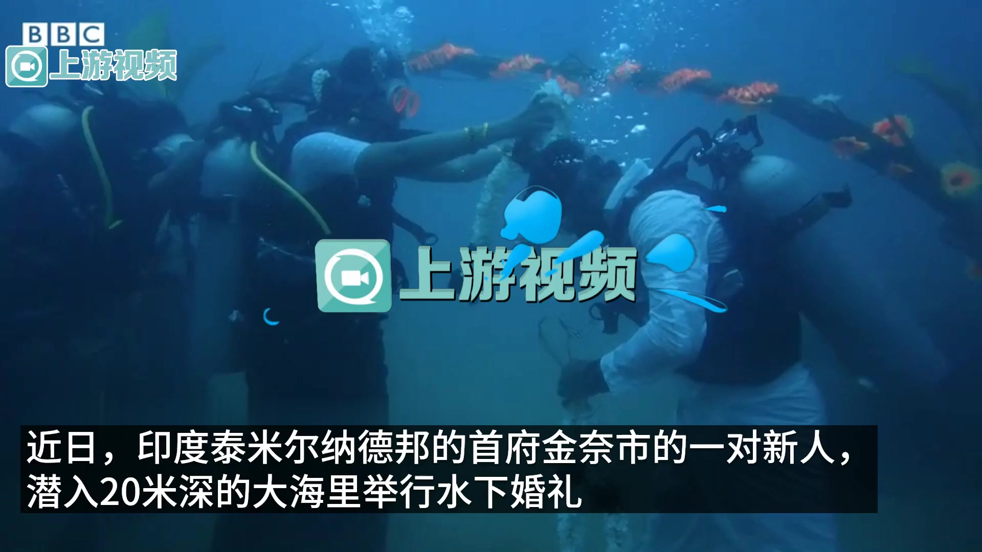 罕见的水下婚礼！印度一对新人潜入20米深海举行结婚仪式