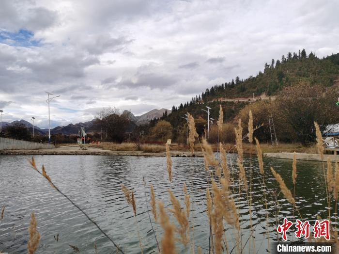 图为西藏昌都市类乌齐县境内的澜沧江支流紫曲河国家湿地公园。 张添福 摄
