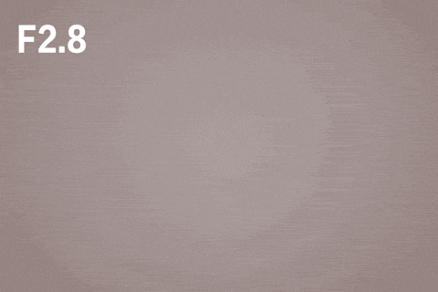 RF系列新利器 佳能RF 100mm微距评测