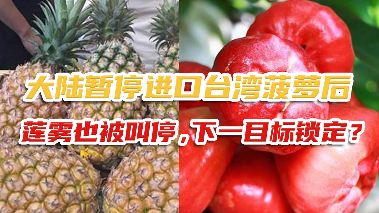 大陆暂停进口台湾菠萝后,莲雾也被叫停,下一目标锁定?