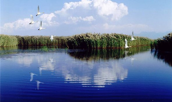 这里是巴盟北部,欢迎来到北京x7高温挑战的地方!