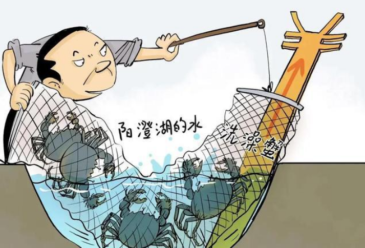 国庆假期,吃螃蟹!今年阳澄湖大闸蟹价格如何?为啥有人说都是“假货”?