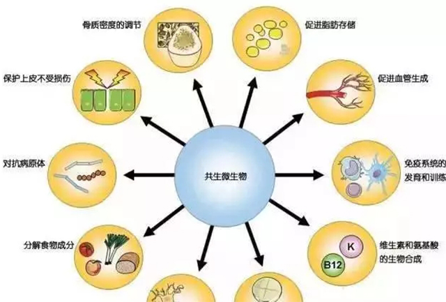 强求"正氮平衡"恐南辕北辙