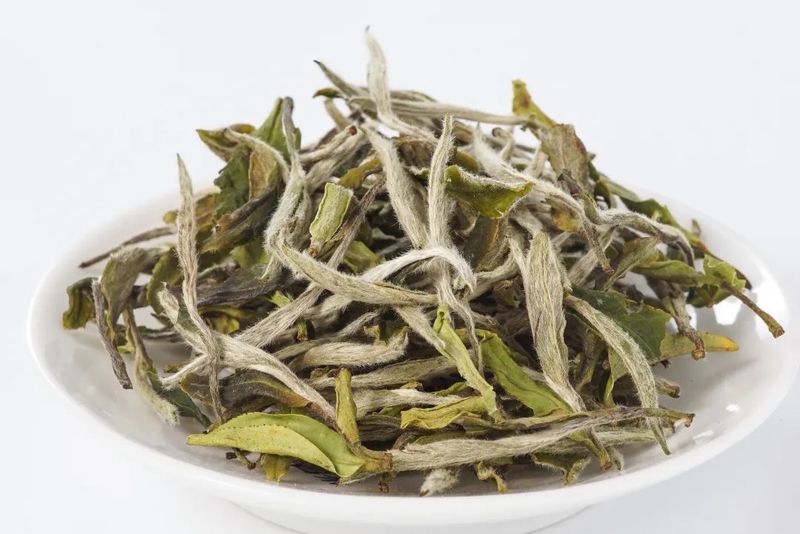 国昂老白茶:白牡丹,不争光辉,却为人喜爱!__凤凰网