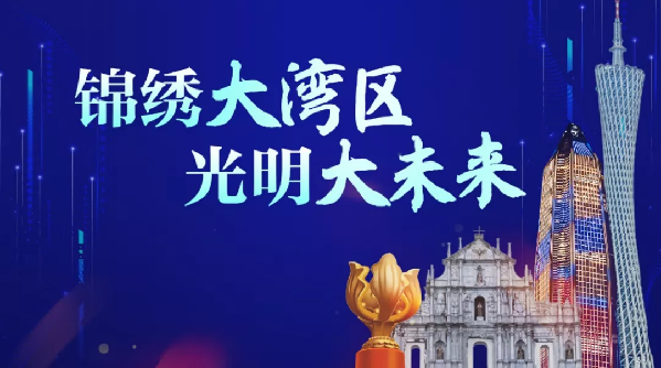 牛!大湾区里的先行示范区