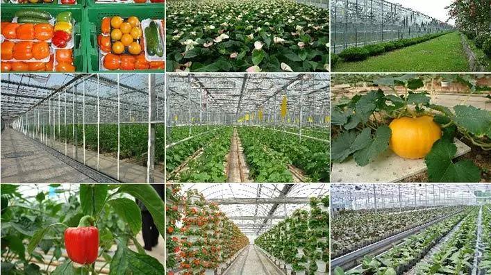 美国大农场,德国高科技,以色列滴灌……,农业大国哪家强?