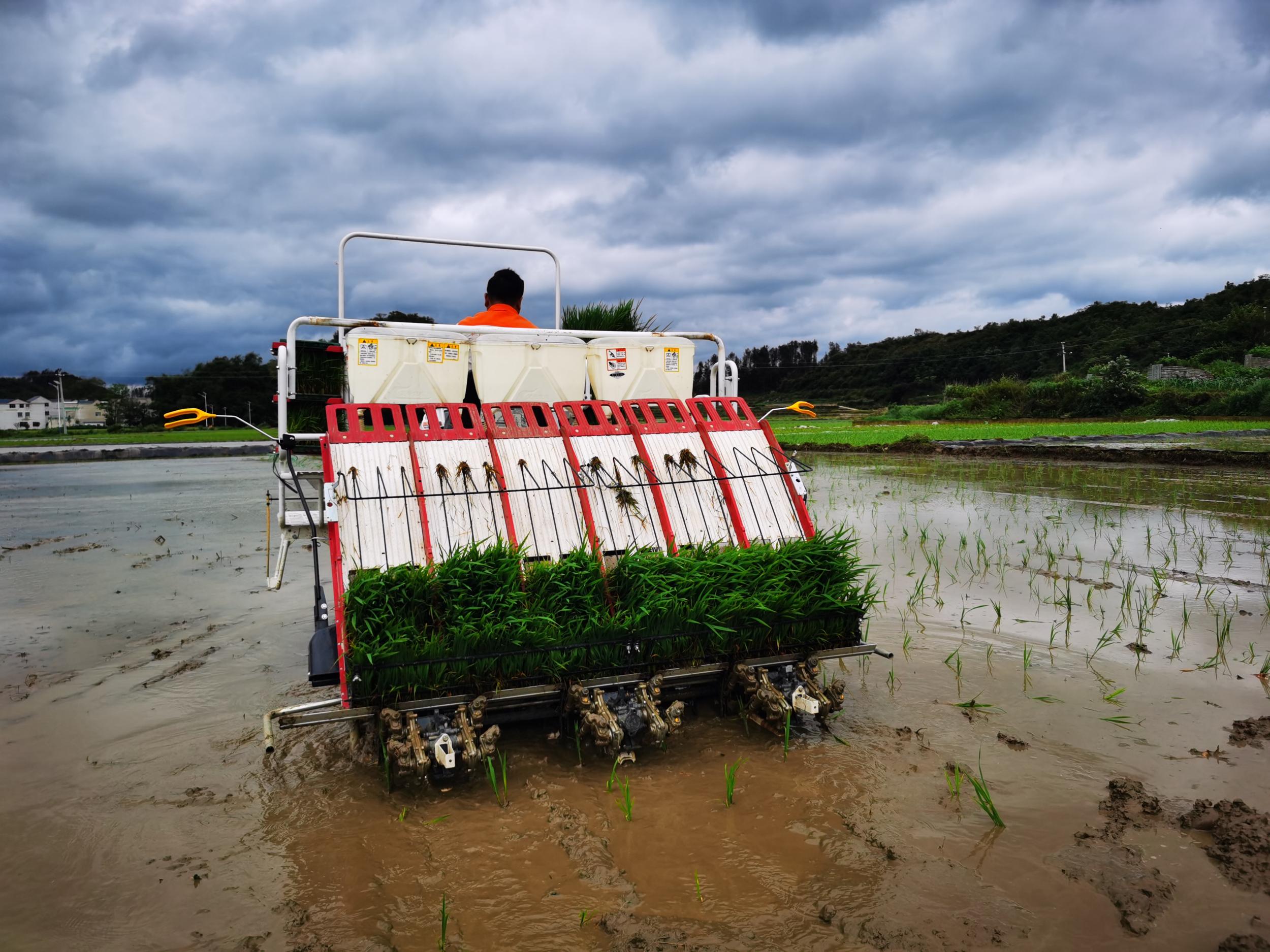 平坝区:机械化助力农业 万亩水稻插秧忙