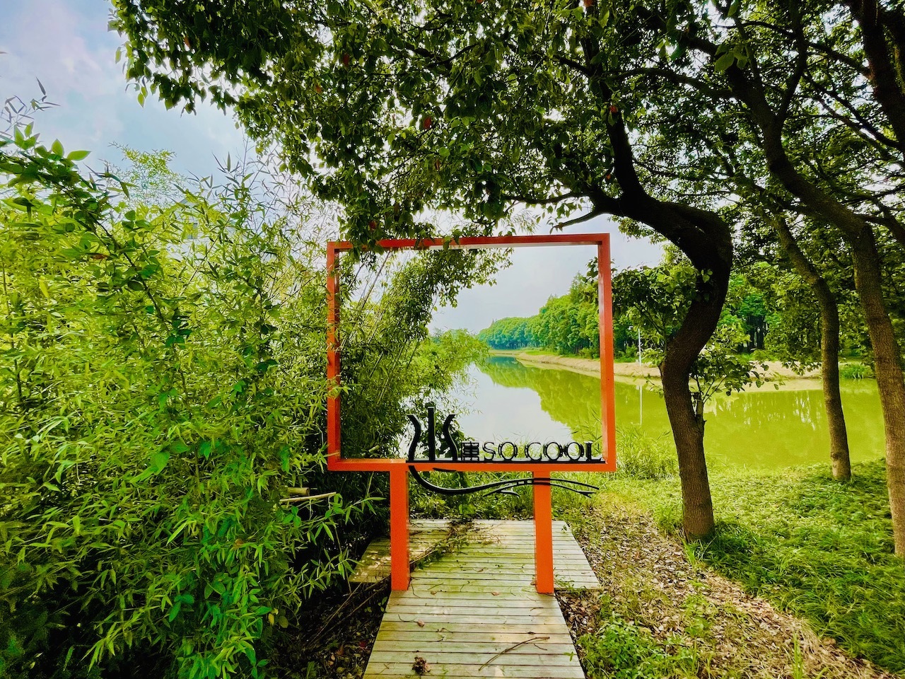 水库 so cool 拍照点位