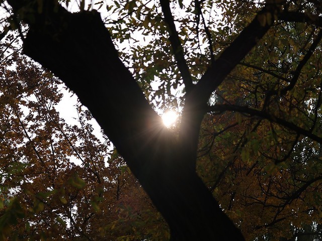 亲民远摄镜头 佳能RF100-400mm IS USM评测