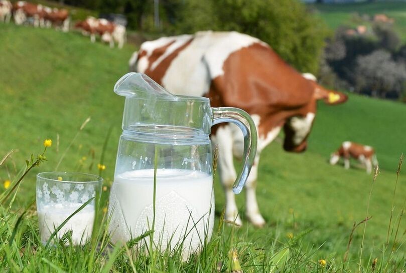 选奶粉小科普奶粉中的生牛乳是什么意思