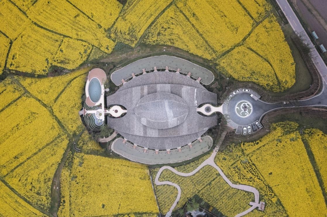 稻乡渔歌用生态诠释川西林盘的时代美学