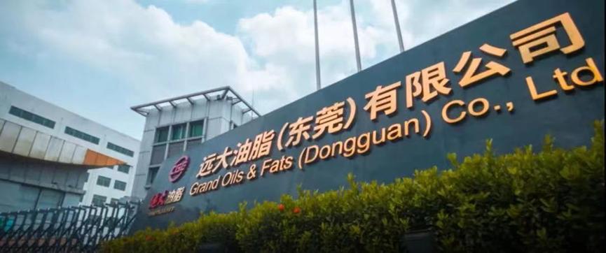 油脂产业再下一城!远大控股贸产一体化高科技企业雏形已成