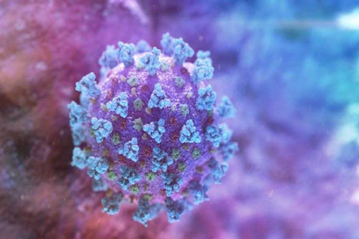 最新研究:人工智能预测框架将有效应对新冠病毒突变